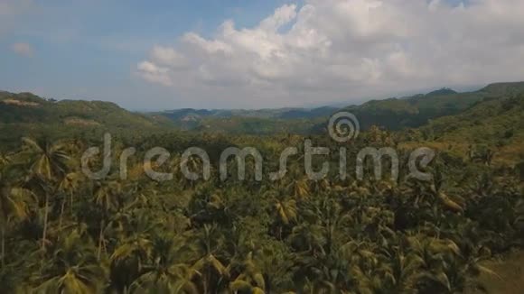 带热带森林的山脉菲律宾宿务岛视频的预览图