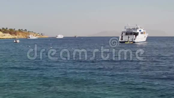 埃及海滩红海海岸度假胜地视频的预览图
