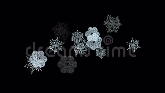 雪花飘落冬季雪背景浪漫圣诞颗粒背景视频的预览图