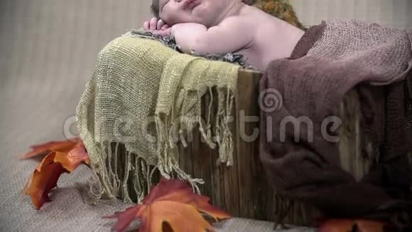 宝宝躺在布置好的秋景视频的预览图