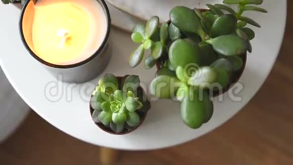 多汁和蜡烛舒适的白色斯堪的纳维亚家庭装饰特写视频的预览图