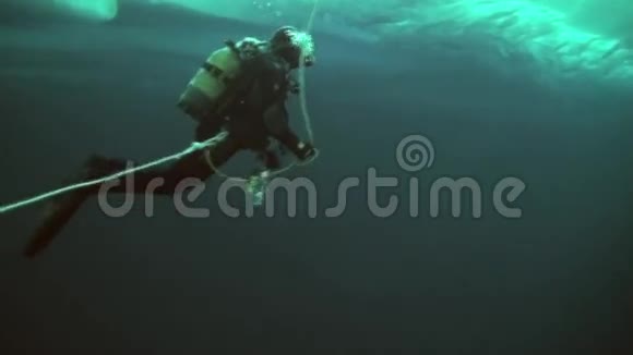 北极地区的潜水视频的预览图