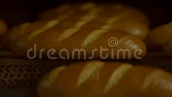 炉子里的面包从烤箱中输出面包视频的预览图