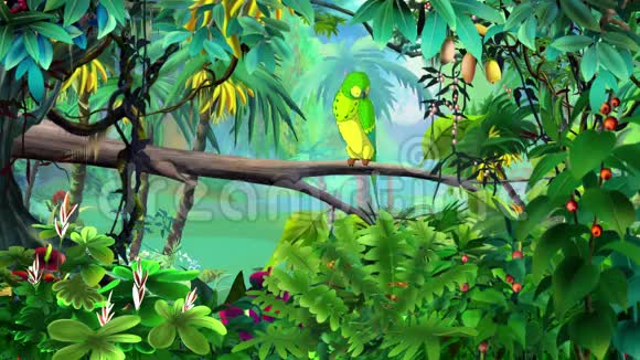 丛林里的绿鹦鹉视频的预览图