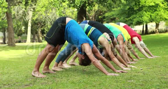 健身小组在公园做瑜伽视频的预览图