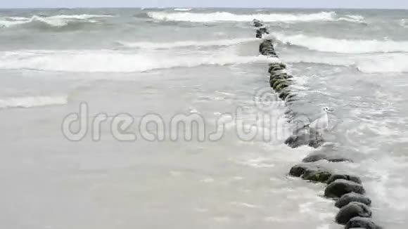 波罗的海海滩视频的预览图