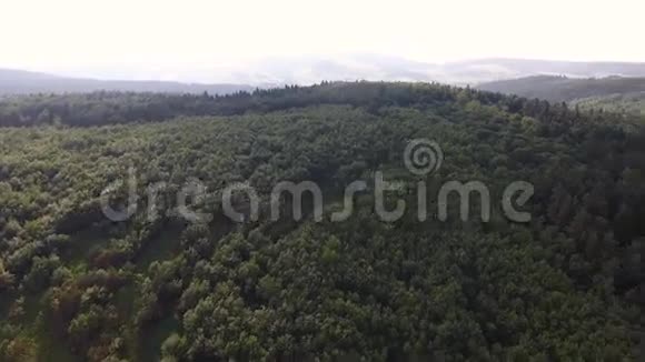 在山上飞过森林视频的预览图