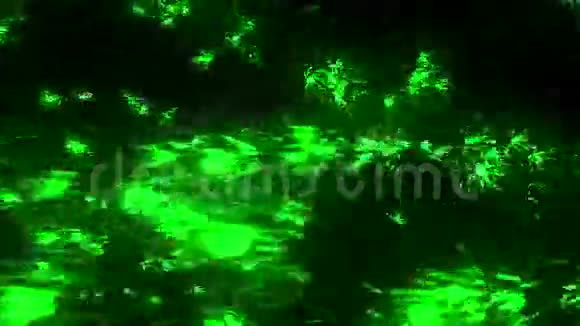 发光烟花颗粒绿色视频的预览图
