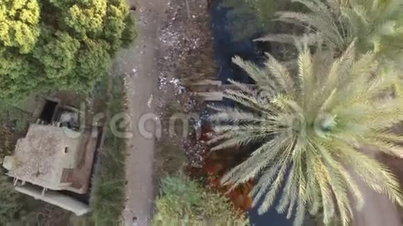 热气球在卢克索河和尼罗河上空视频的预览图