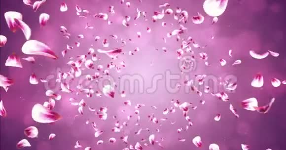 飞翔的浪漫红粉玫瑰樱花花花瓣飘落背景循环4k视频的预览图