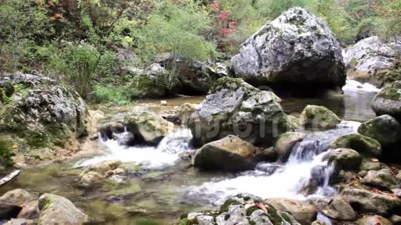 宁静的树林里有小瀑布视频的预览图
