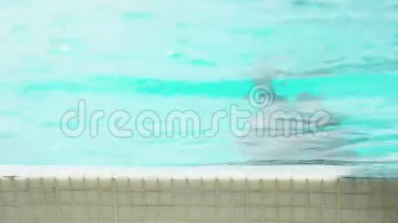 迷人的女人在游泳池游泳视频的预览图