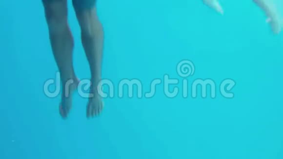 快乐的一对在水下游泳视频的预览图