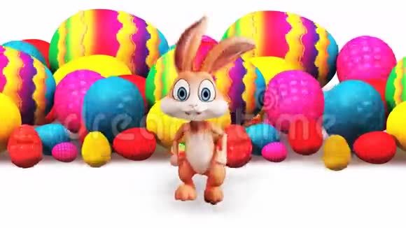 跑兔子和五颜六色的鸡蛋视频的预览图