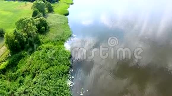 美丽的河流有绿色的河岸视频的预览图