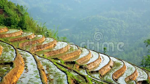 美丽的农田水稻梯田萨帕越南视频的预览图