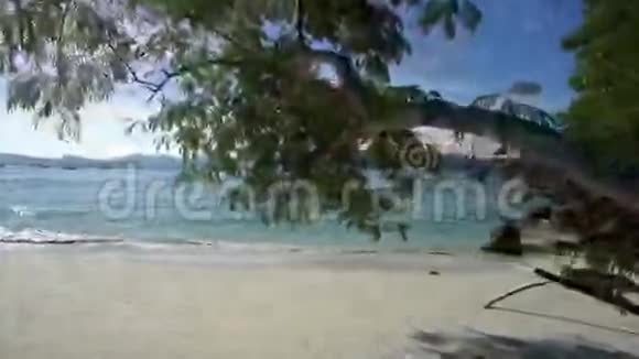带岩石和树的热带海滩视频的预览图