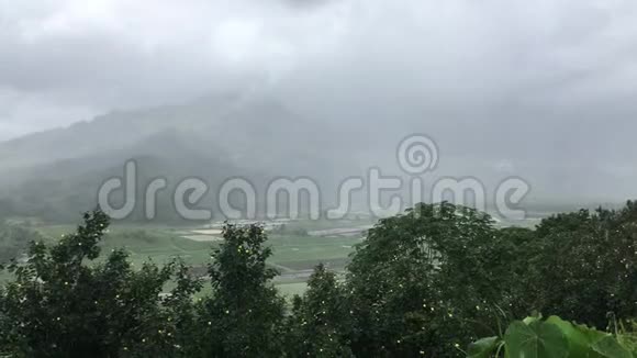 夏威夷考艾岛的风景视频的预览图