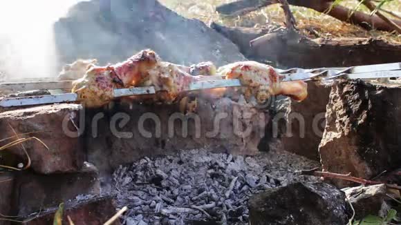 火上烤鸡串视频的预览图