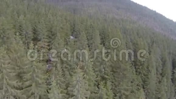 喀尔巴阡山针叶林空中拍摄冬季视频的预览图