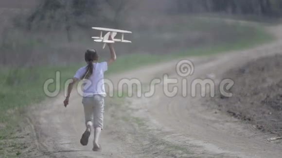 白人男孩玩模型飞机一个在田野里坐木飞机的孩子的肖像视频的预览图