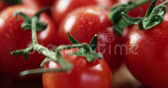 新鲜樱桃番茄的特写视频的预览图