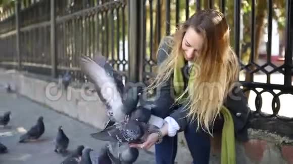 美丽的女孩喂鸽子视频的预览图