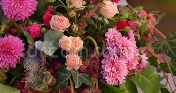 美丽的花束五颜六色的春花视频的预览图