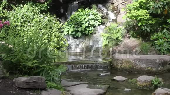 日本波特兰花园视频的预览图