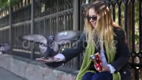 美丽的女孩喂鸽子视频的预览图