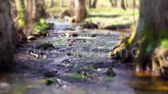 田园森林里的河流视频的预览图