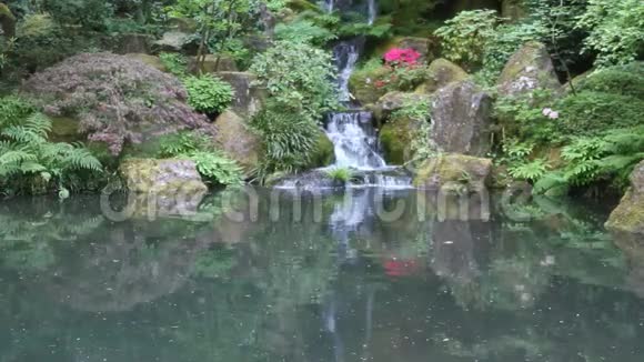 日本波特兰花园视频的预览图