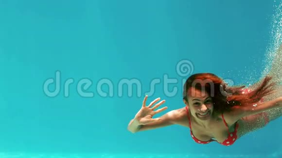 微笑的女人在水下游泳视频的预览图