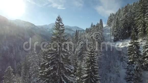 雪山的鸟瞰图视频的预览图