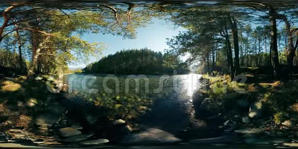 4K360VR虚拟现实河流在这片美丽的森林中的岩石上流动视频的预览图