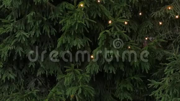 圣诞树上有花环和灯视频的预览图