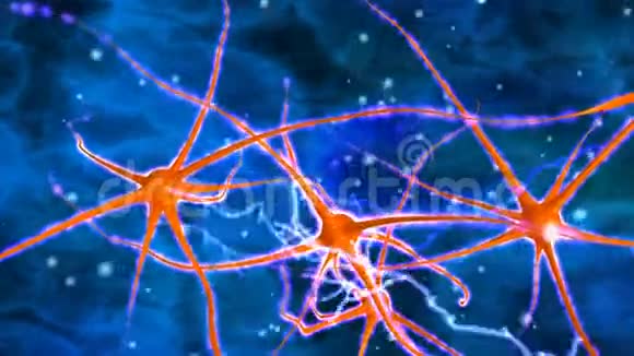 神经细胞视频的预览图