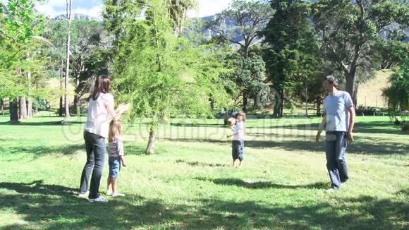 一家人在公园里玩球视频的预览图