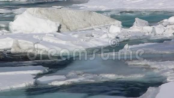 早春卡屯河阿尔泰河上的冰融化视频的预览图