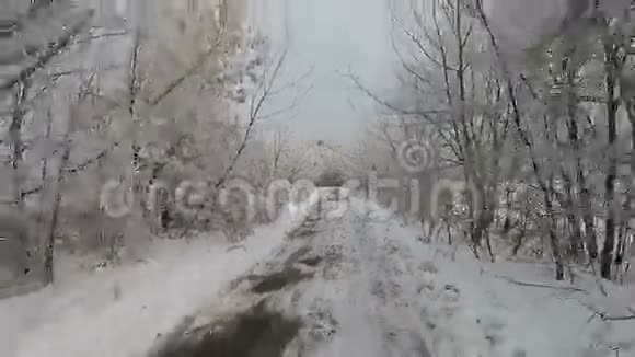 冬季森林的空中景色树上有路和雪视频的预览图