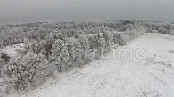 冬季森林的空中景色树上有路和雪视频的预览图