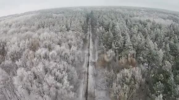 冬季森林的空中景色树上有路和雪视频的预览图
