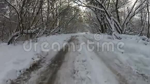 冬季森林的空中景色树上有路和雪视频的预览图