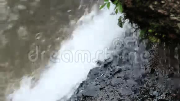 海乌苏瀑布热带森林高耀国家公园视频的预览图