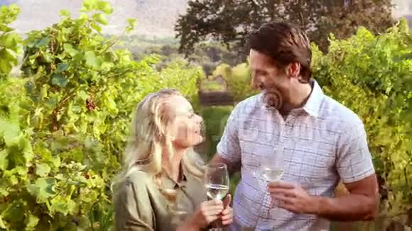 快乐的一对夫妇品尝和喝白葡萄酒视频的预览图
