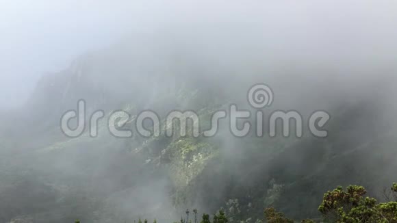 夏威夷考艾岛的怀米亚峡谷的卡拉劳眺望台云视频的预览图