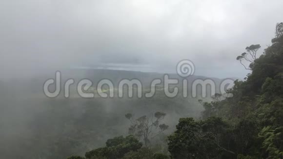 夏威夷考艾岛的怀米亚峡谷的卡拉劳眺望台云视频的预览图