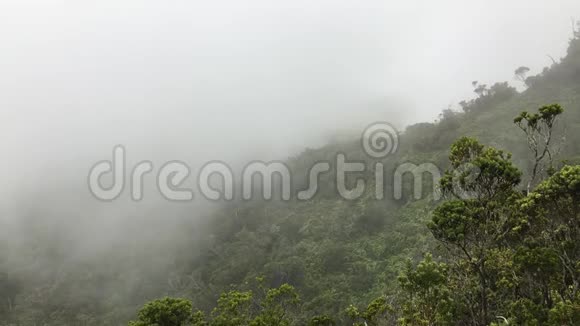 夏威夷考艾岛的怀米亚峡谷的卡拉劳眺望台云视频的预览图