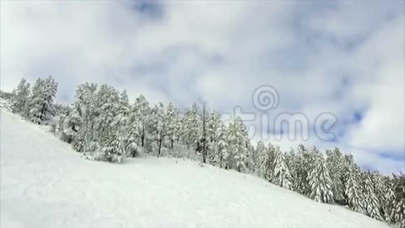 冬景山林雪视频的预览图