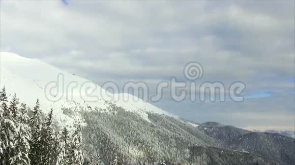 冬景山林雪视频的预览图